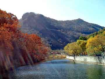 管家婆黑白马报图库，林峰整容